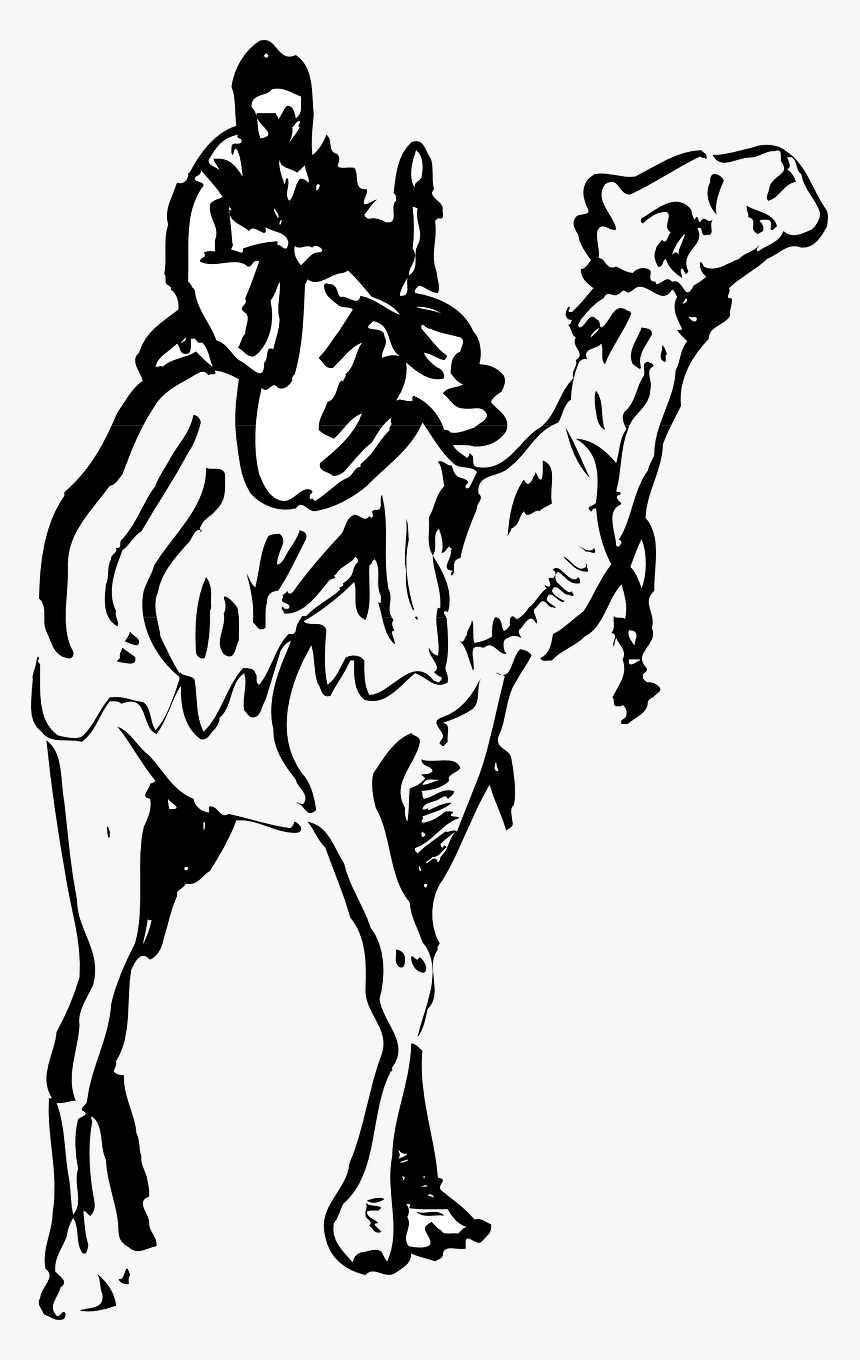 Camel Travel Clipart Png, Transparent Png, Free Download