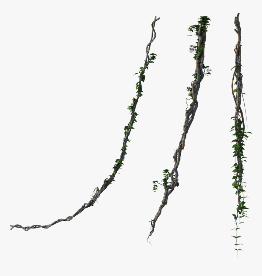 Twig, HD Png Download, Free Download