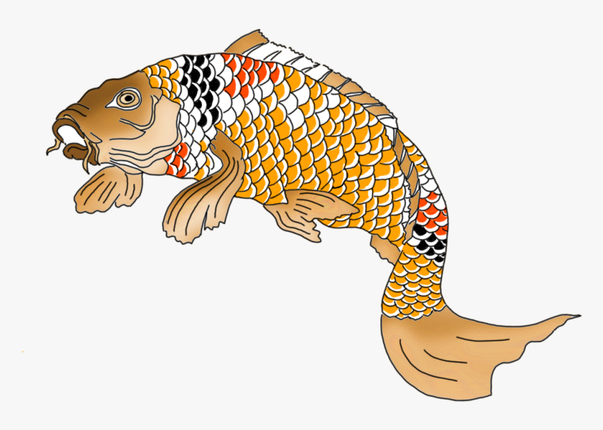 Japanese Koi Fish Orange Red Black White - Koi, HD Png Download, Free Download