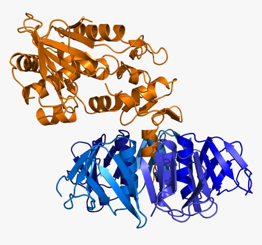 Shiga Toxin Pdb 1r4q - Ab5 Toxin, HD Png Download, Free Download