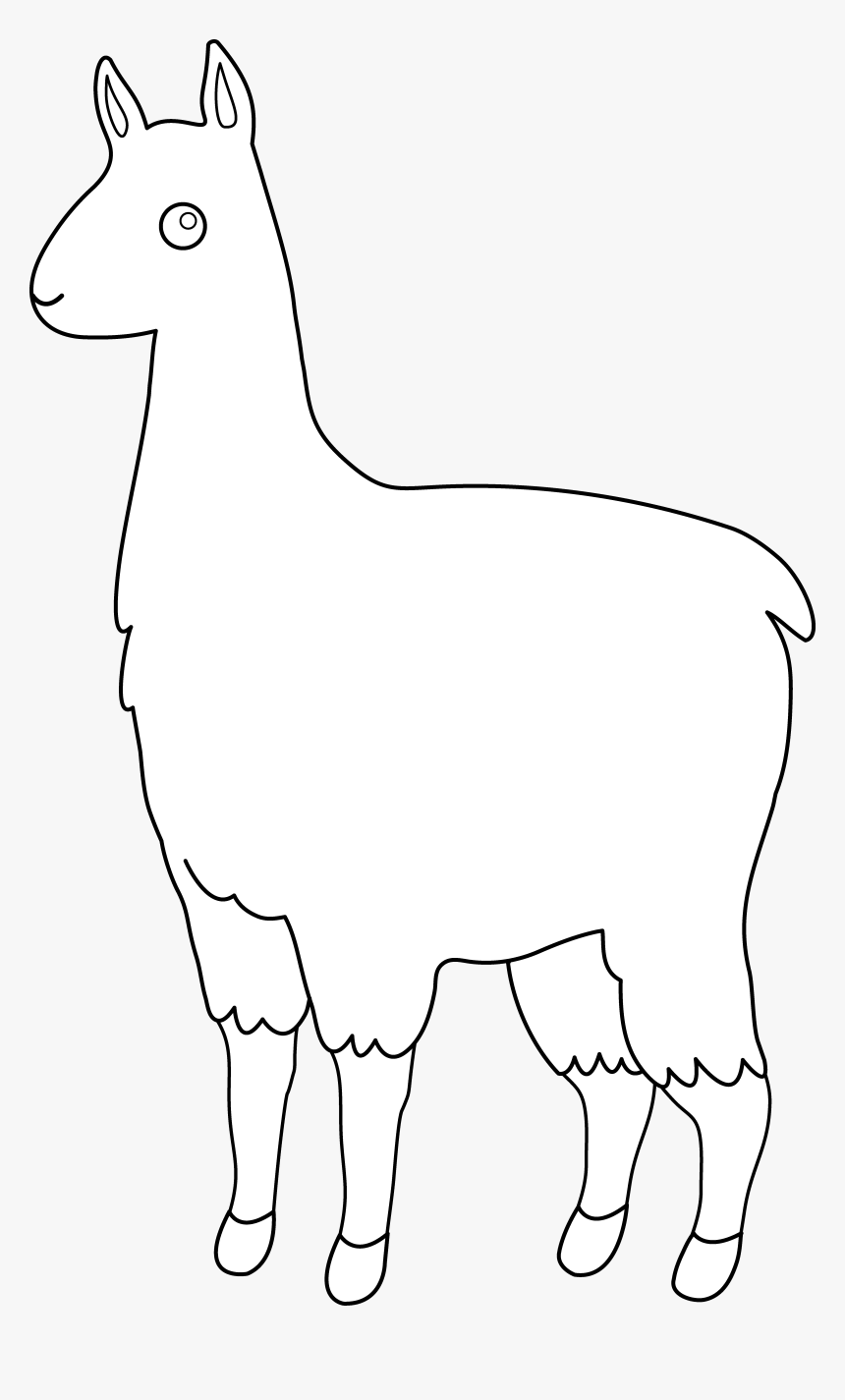 - Llama Outline - Llama Clipart Black And White Transparent, HD Png Download, Free Download