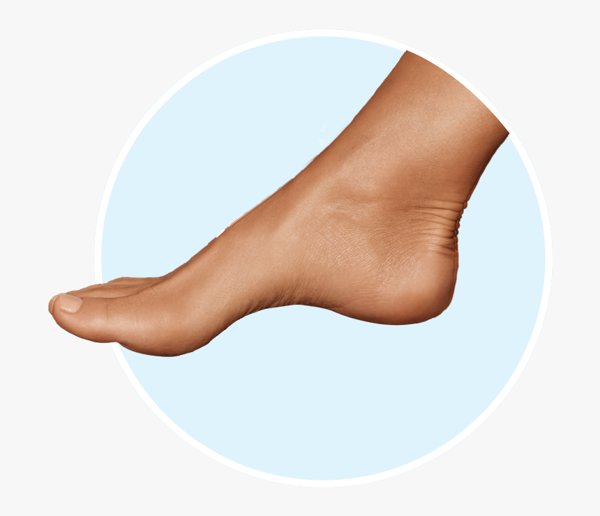 Toe, HD Png Download, Free Download