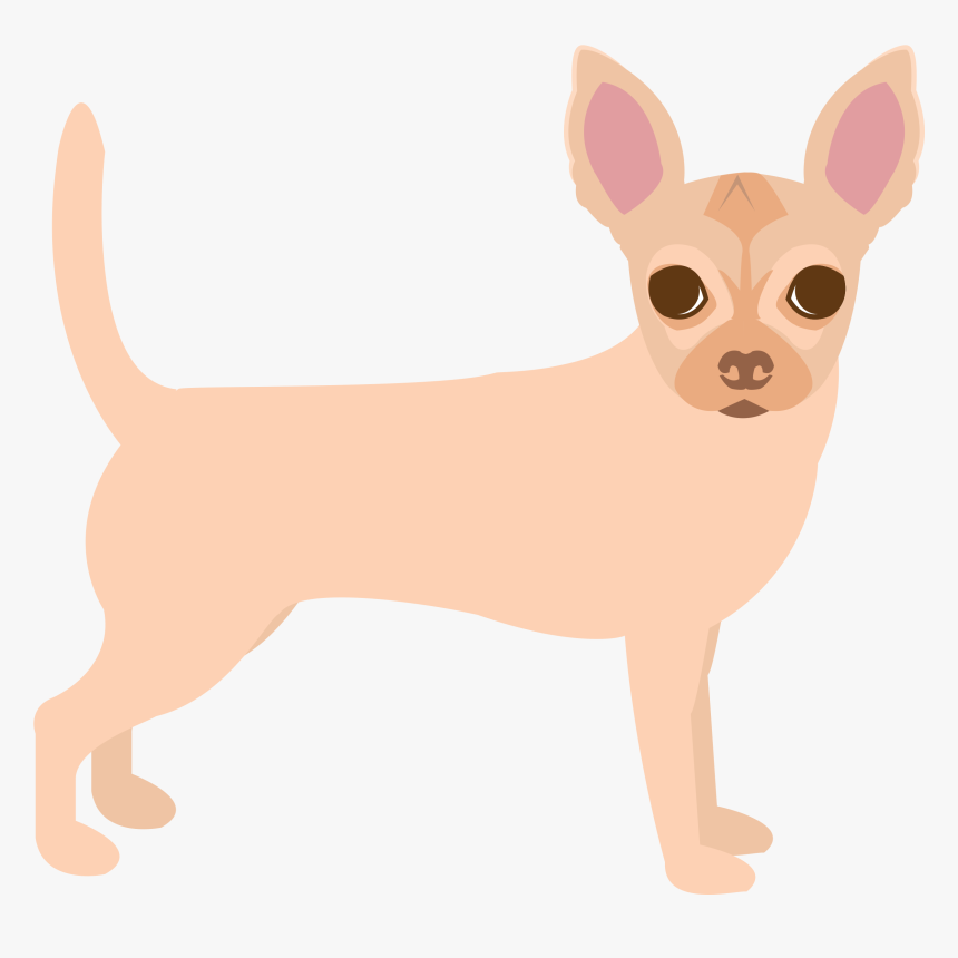 Chihuahua, HD Png Download, Free Download