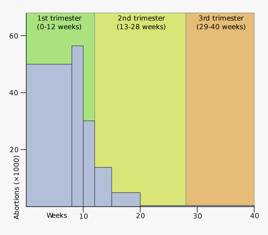 Number Of Abortions In Us By Week, HD Png Download, Free Download