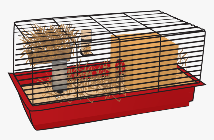 Dead Hamster - Cage, HD Png Download, Free Download