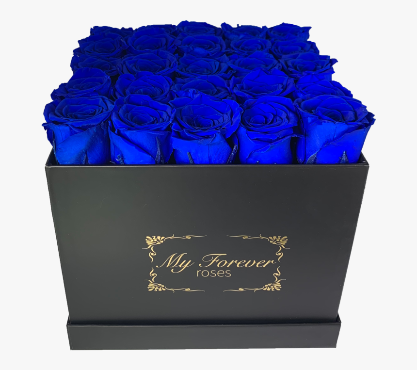 Blue Rose, HD Png Download, Free Download