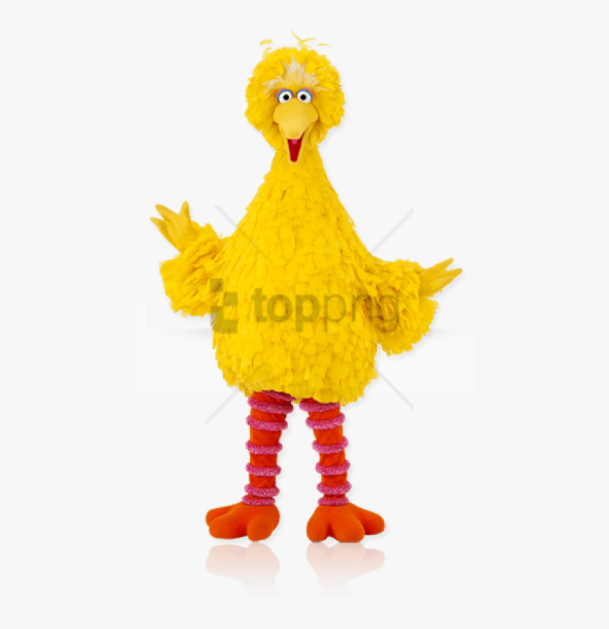 Free Png Download Big Bird High Resolution Png Images - Big Bird, Transparent Png, Free Download