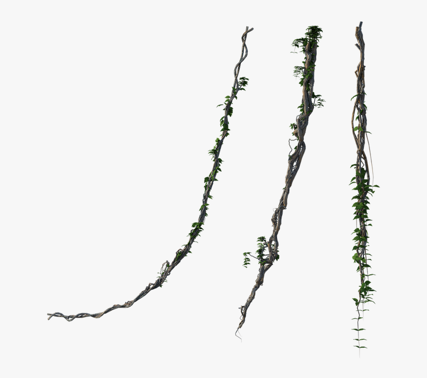 Twig, HD Png Download, Free Download