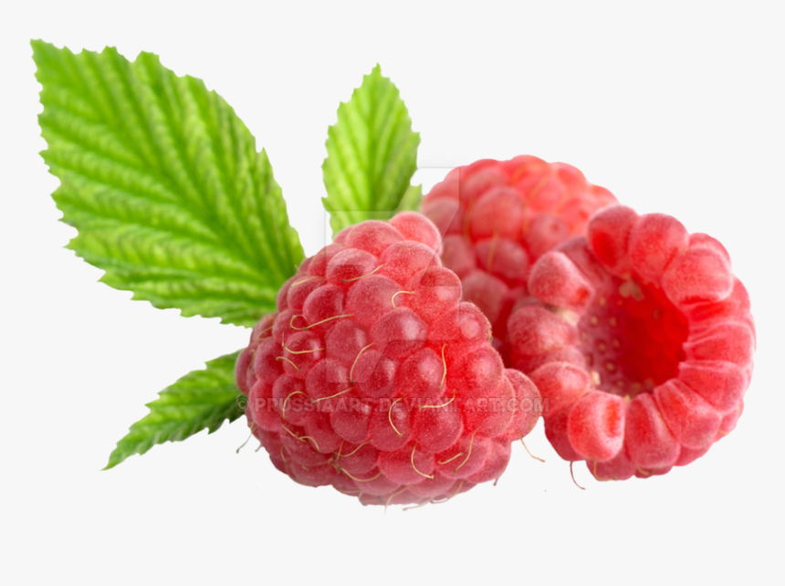 Малина Png , Png Download - Raspberry And Cranberry Png, Transparent Png, Free Download