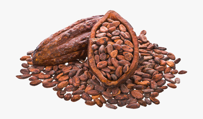 Cocoa Beans Png Image - Cocoa Beans Transparent Background, Png Download, Free Download