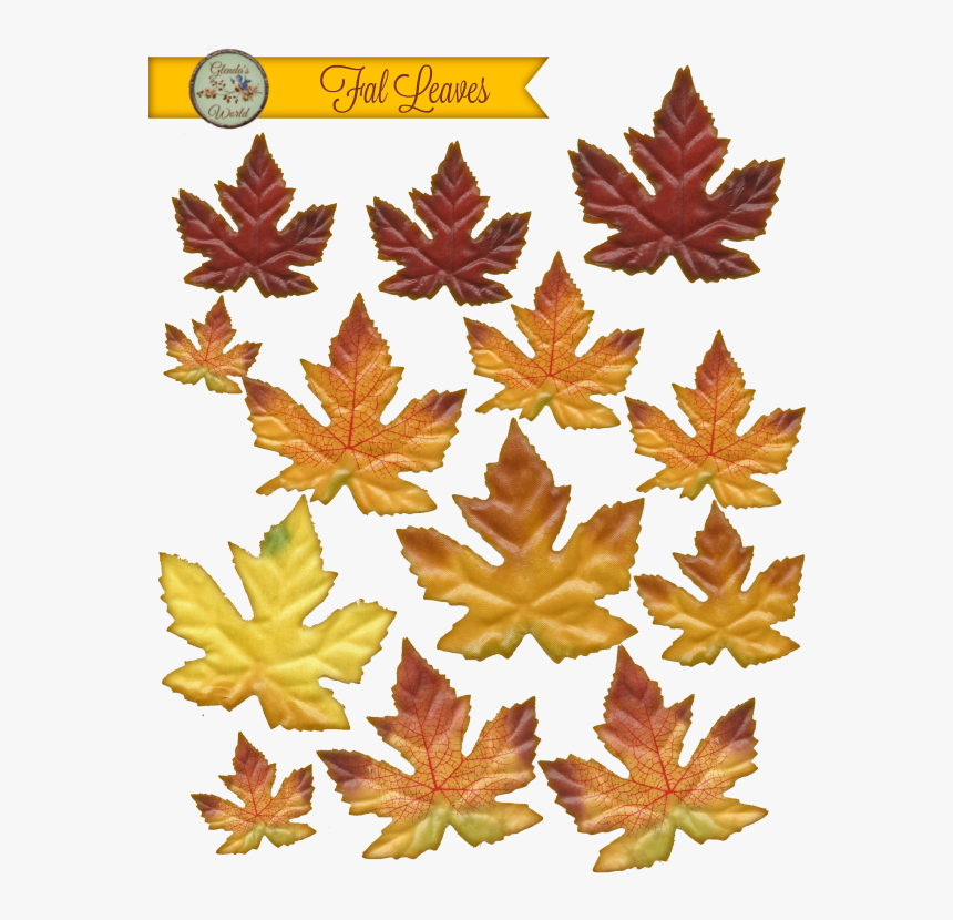 Transparent Thanksgiving Leaves Png - Maple Leaf, Png Download, Free Download