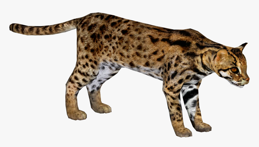 Jaguar, HD Png Download, Free Download