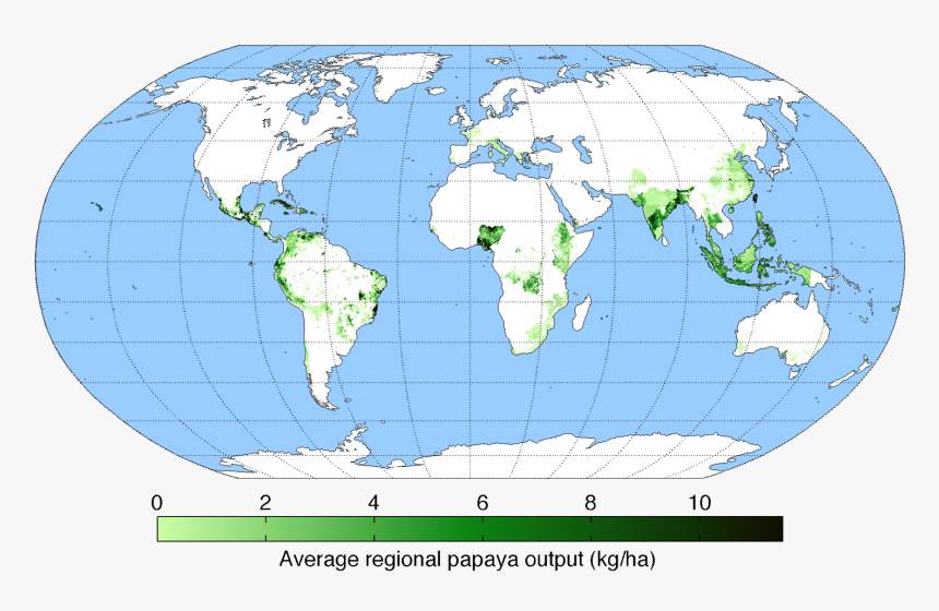 File - Papayayield - Dye Production World Map, HD Png Download, Free Download