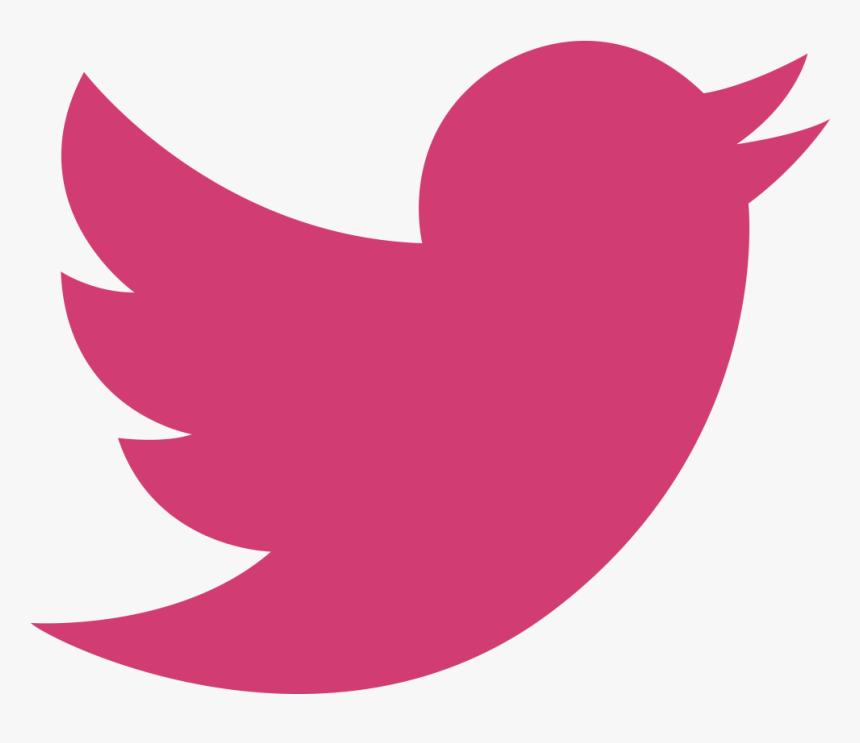 Ila Future Lab Forum On Twitter - Twitter Icon Png Pink, Transparent Png, Free Download