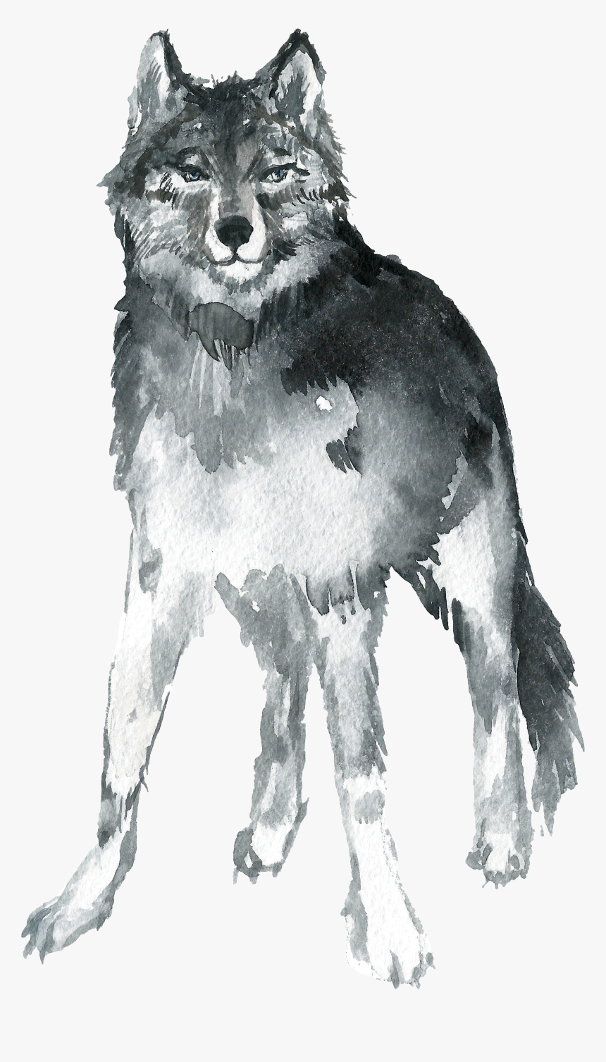 Mackenzie River Husky , Png Download - Mackenzie River Husky, Transparent Png, Free Download