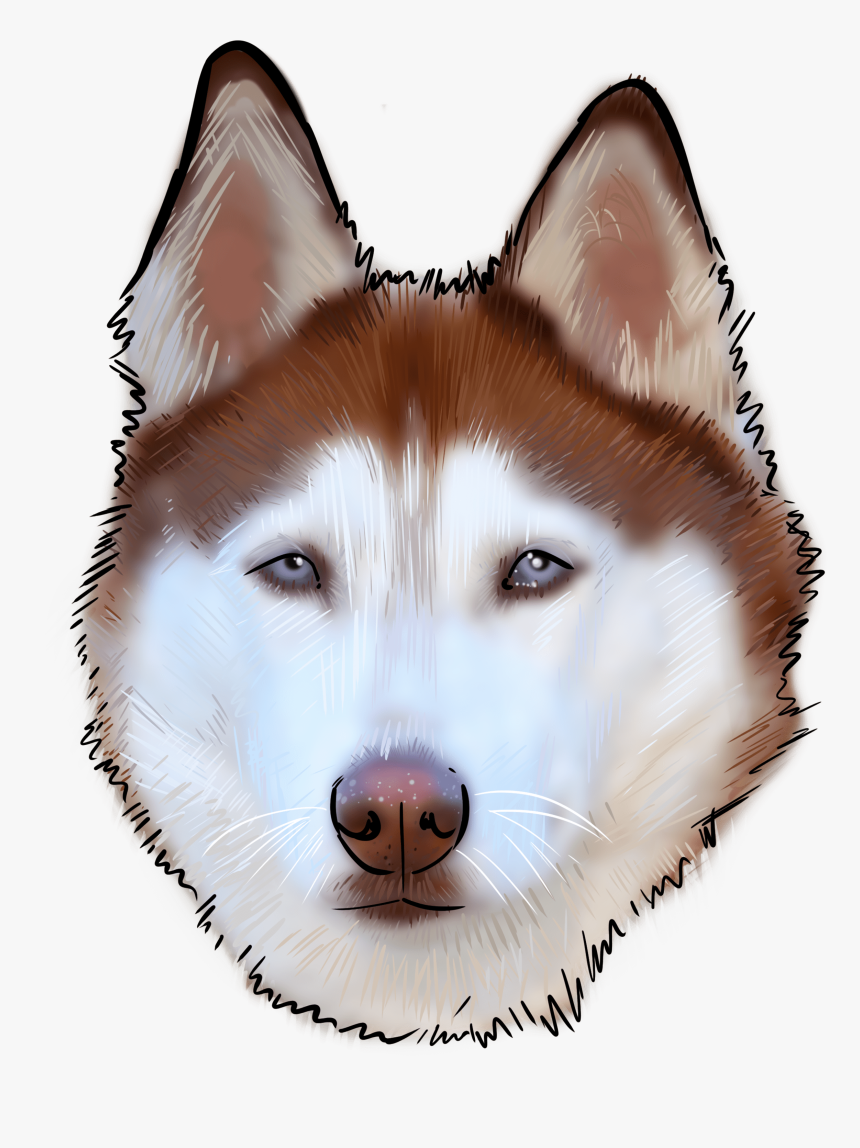 Sakhalin Husky, HD Png Download, Free Download