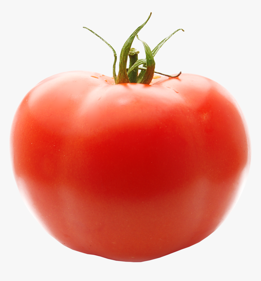 Tomato Png No Background, Transparent Png, Free Download