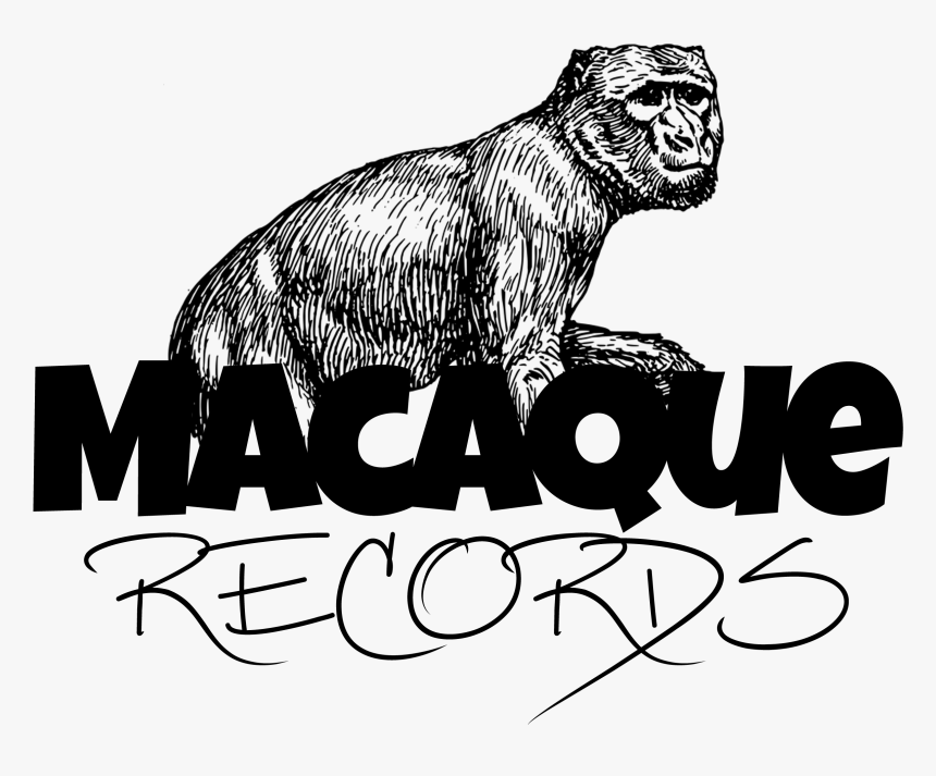 Macaque Records - Hippopotamus, HD Png Download, Free Download