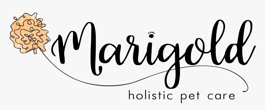 Marigold Holistic Pet Care - Calligraphy, HD Png Download, Free Download