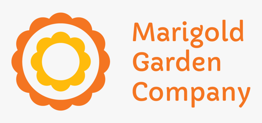 Marigold Png, Transparent Png, Free Download