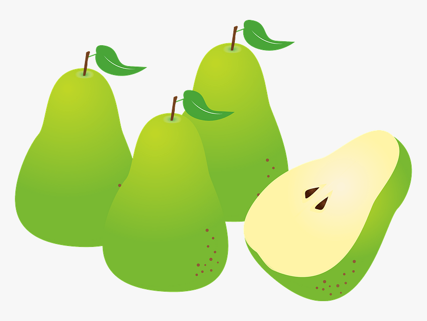 European Pear Fruits Clipart, HD Png Download, Free Download