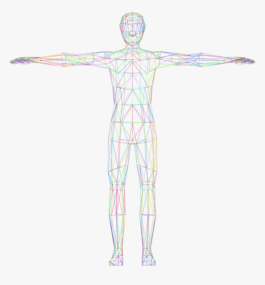 Free Human Transparent Background, Download Free Clip - Human Body No Background, HD Png Download, Free Download