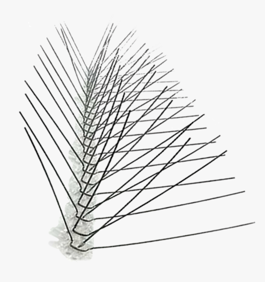 Stainless Steel Spikes 10′, 25′, 50′ And 100′ - Line Art, HD Png Download, Free Download