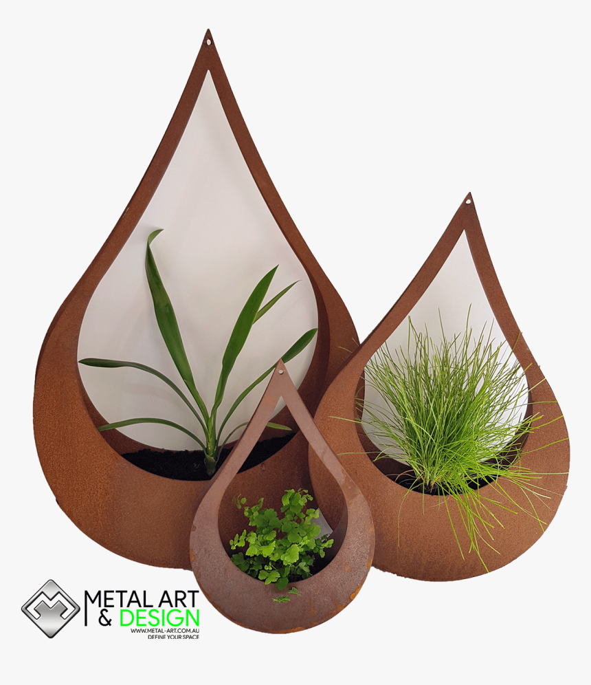 Houseplant, HD Png Download, Free Download