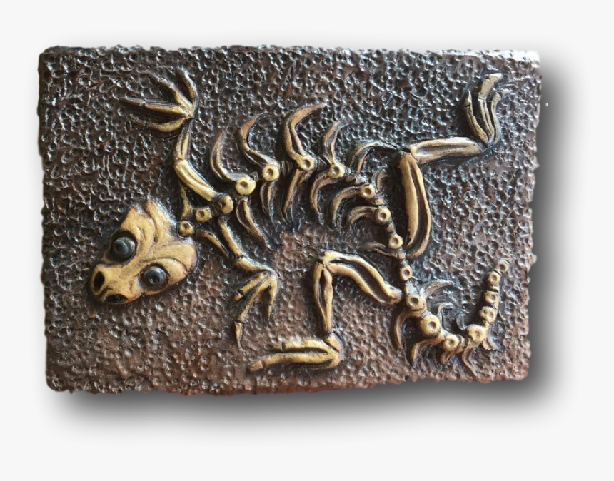 Lizza Dora Lizard Fossil By Mike Quinn , Png Download - Relief, Transparent Png, Free Download