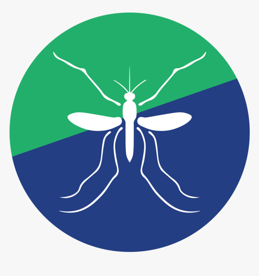 Mosquito - Illustration, HD Png Download, Free Download