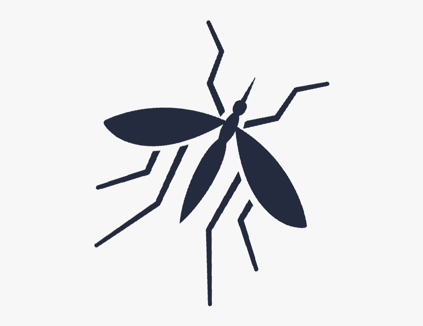 Mosquitopageicon - Bug, HD Png Download, Free Download