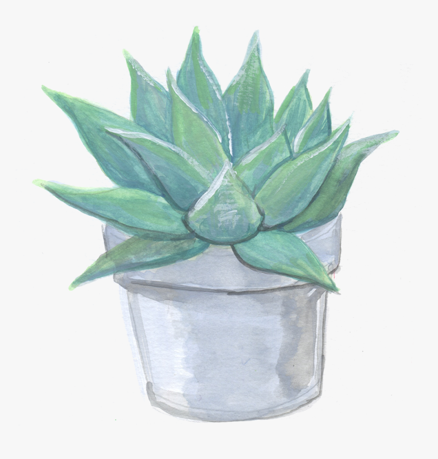 Plant - Agave, HD Png Download, Free Download