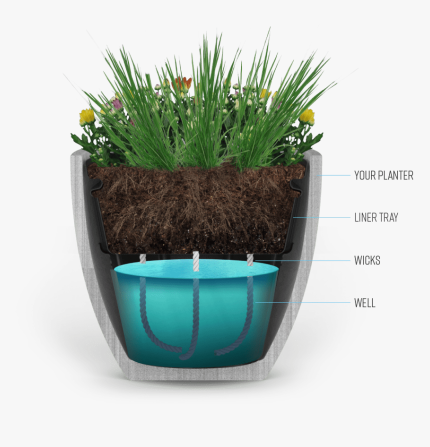 Our Liner Will Convert An Old Fashioned Planter Into - Flowerpot, HD Png Download, Free Download