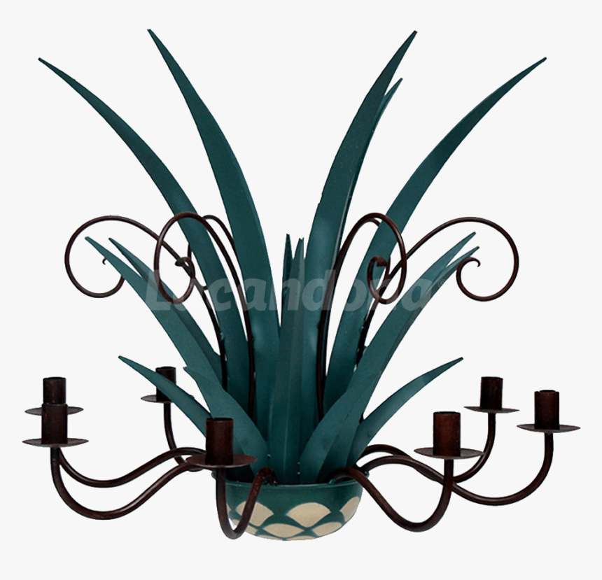 Agave Azul , Png Download - Agave Azul, Transparent Png, Free Download