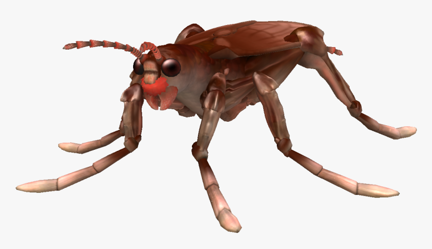 House Fly, HD Png Download, Free Download