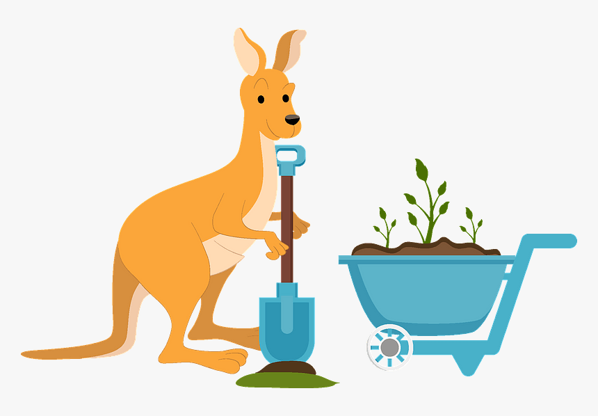 Kangaroo Planting A Tree Clipart, HD Png Download, Free Download