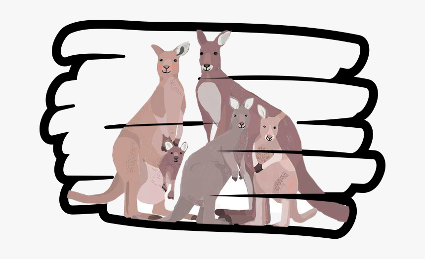 Transparent Kangaroo Clip Art - Kangaroo, HD Png Download, Free Download