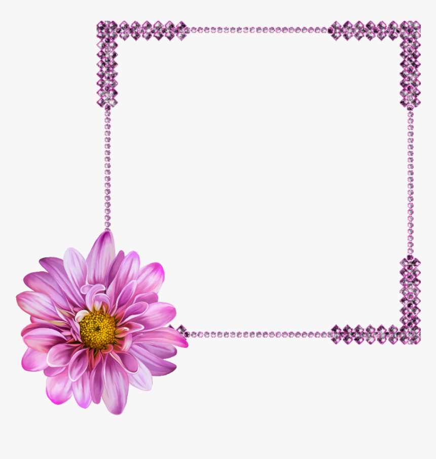 #marcoparafotos #flor #morado #rosa #png - Spring Flower White Background, Transparent Png, Free Download