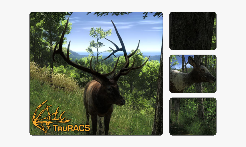 Thehunter Wikia - Roosevelt Elk The Hunter Classic, HD Png Download, Free Download