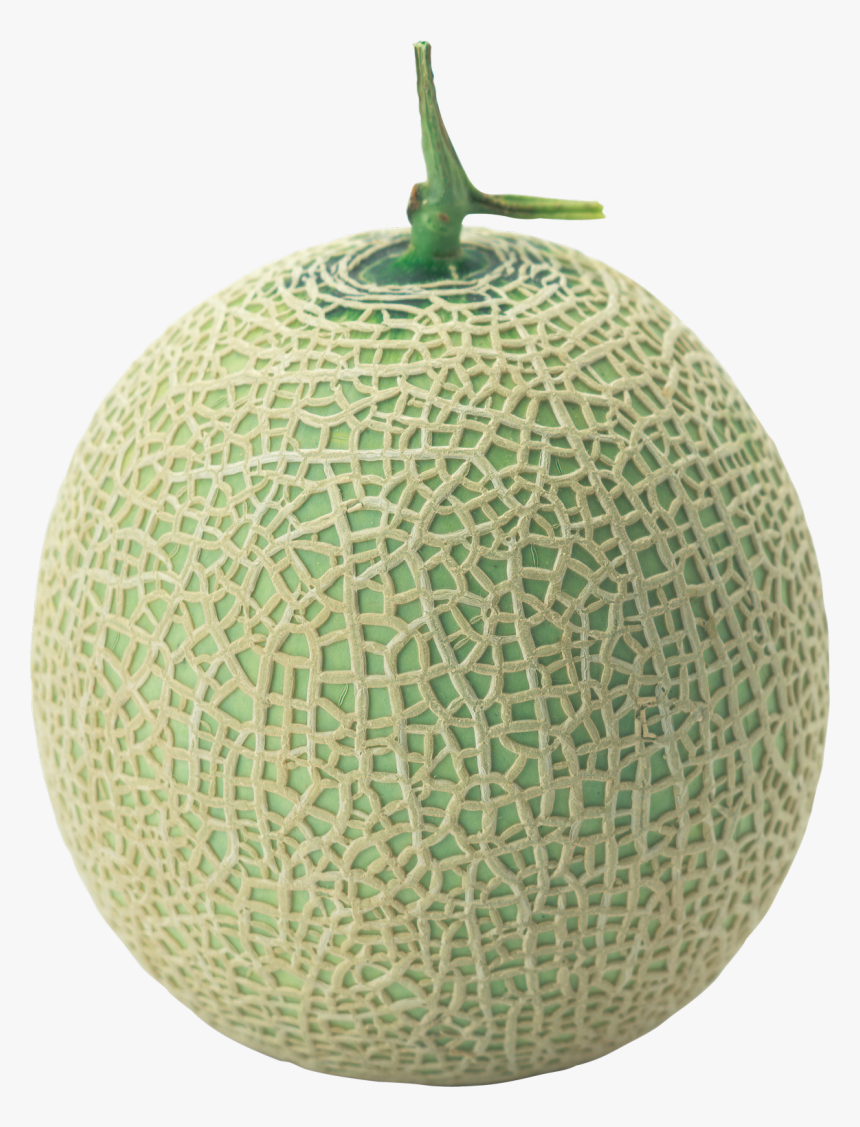 Melon Png Image - Transparent Png Melon Png, Png Download, Free Download