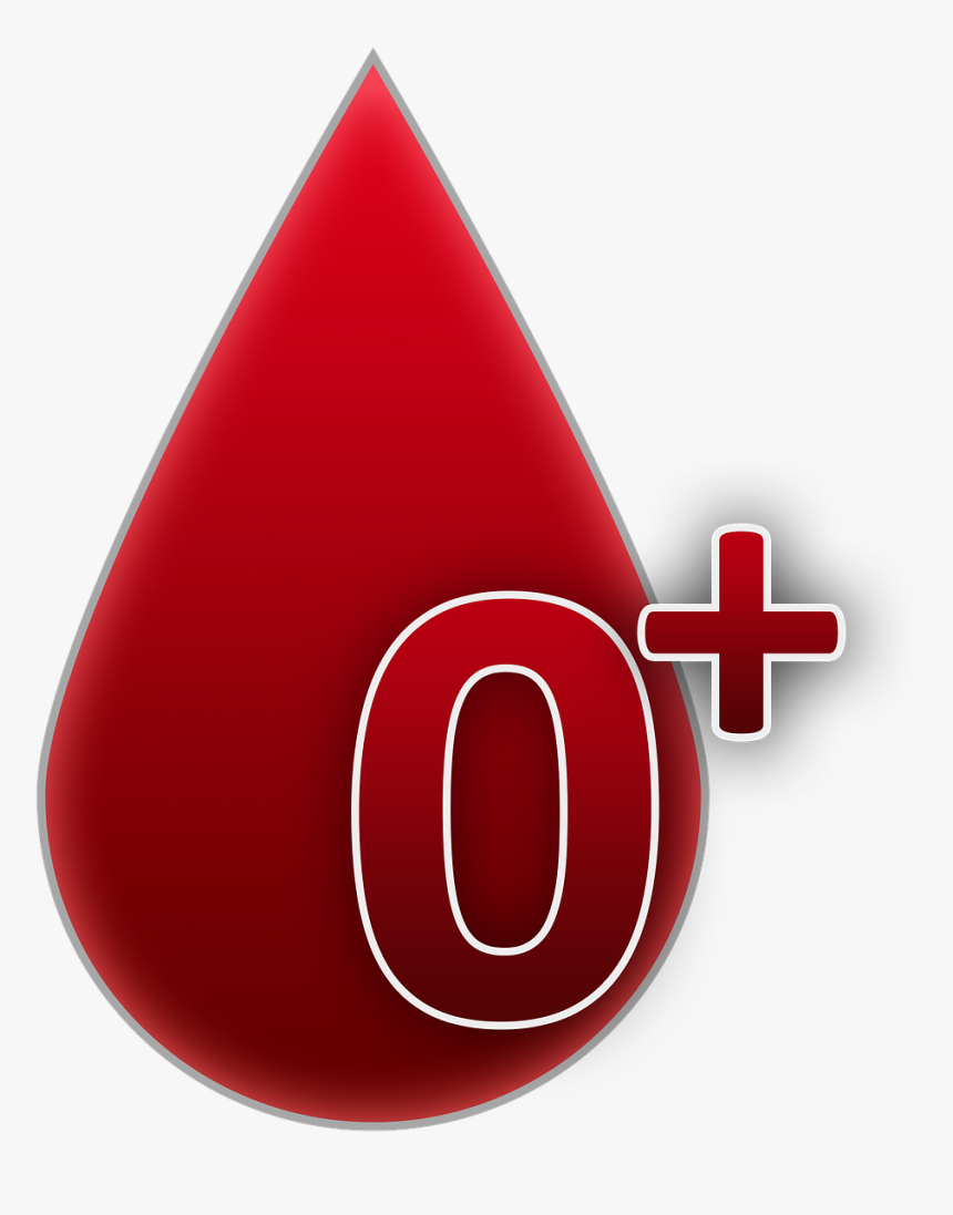 Blood Group, 0, Rh Factor Positive, Blood - 0 Rh Positive, HD Png Download, Free Download