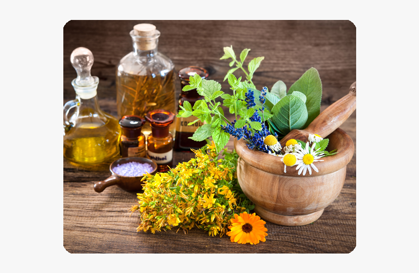 Uses Of Flowers In Medicine, HD Png Download, Free Download