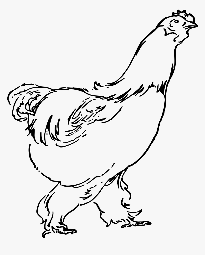 Big Image Png - Chicken Drawing Png, Transparent Png, Free Download