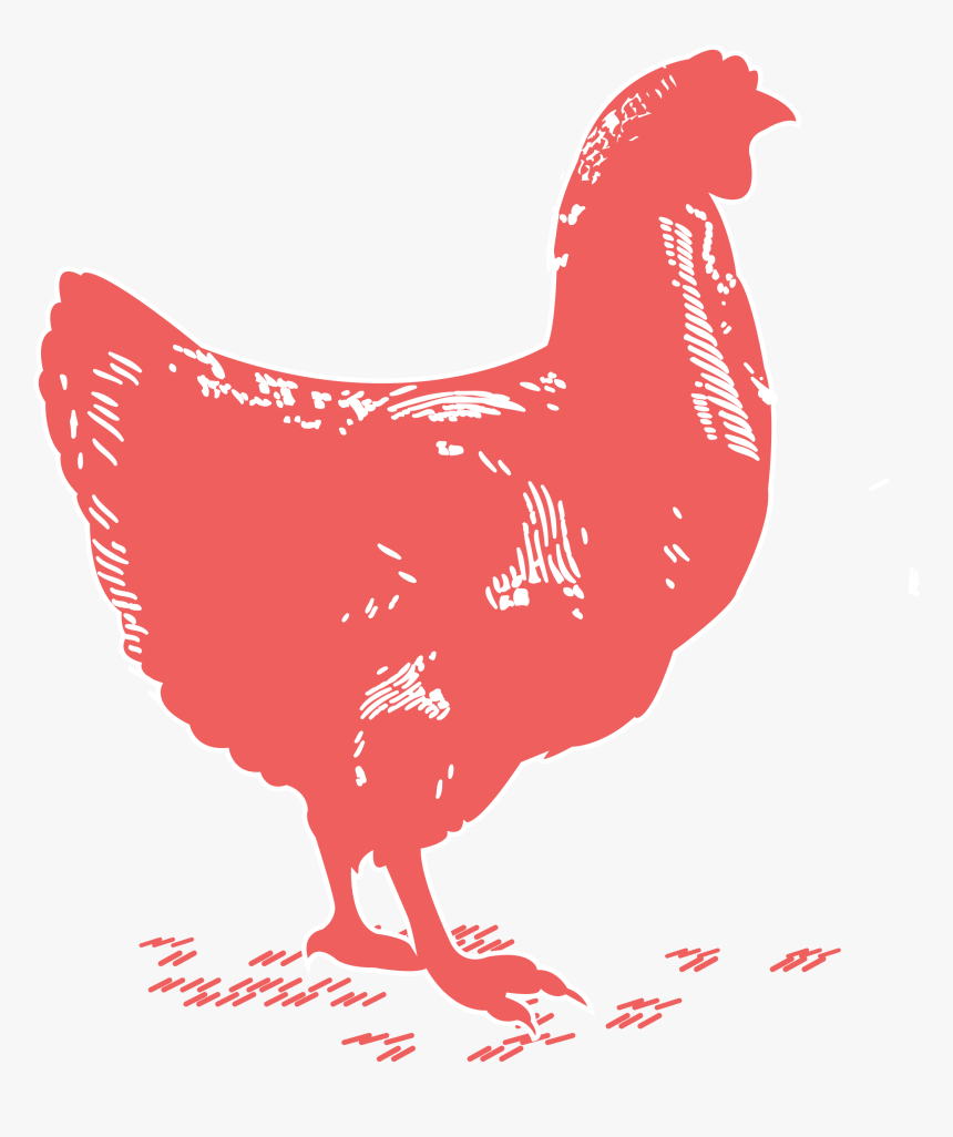 Rooster, HD Png Download, Free Download