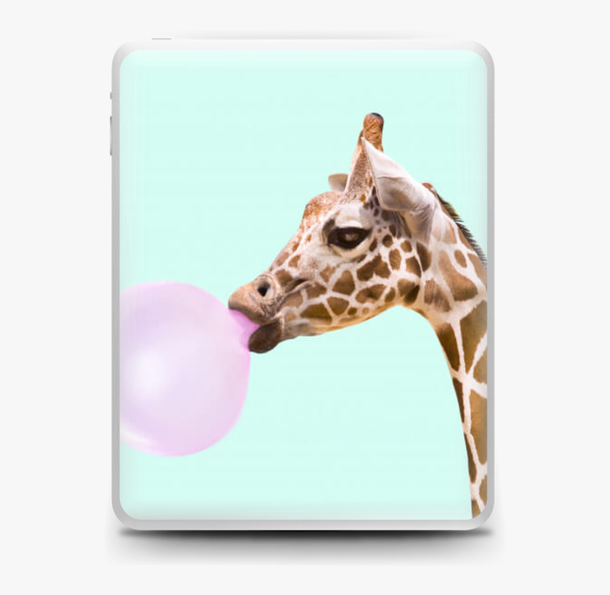 Giraffe With A Chewing Gum Skin Ipad - Fondo De Pantalla Animals, HD Png Download, Free Download