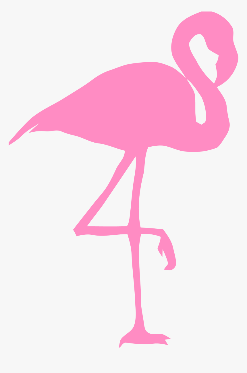 Flamingo, Bird, Silhouette, Pink, Nature, Wildlife, - Cartoon Pink Flamingos, HD Png Download, Free Download