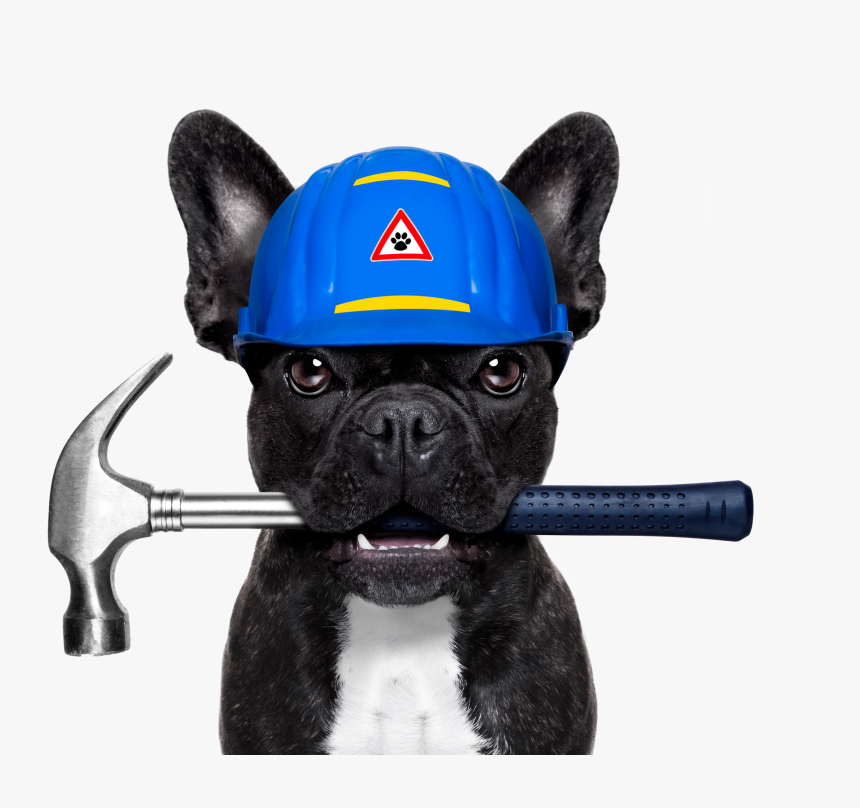 Transparent Dog Emoji Png - Dog Plumber, Png Download, Free Download
