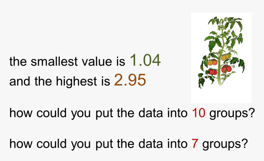 Tomato Plant Heights - Rosa Glauca, HD Png Download, Free Download