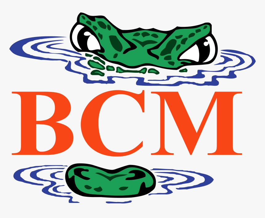 Home Uf Bcm - Dpmi India Com Logo, HD Png Download, Free Download