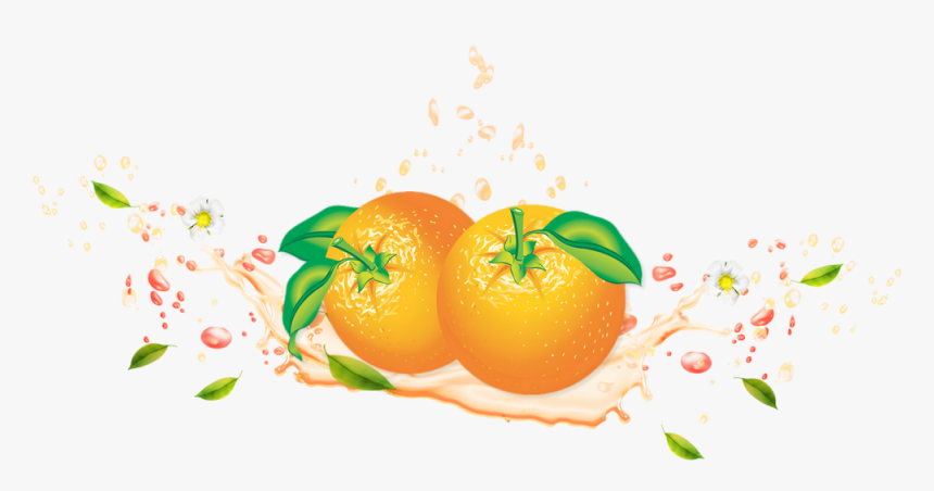 Tube Fruit, Oranges Png, Agrume - Clementine, Transparent Png, Free Download